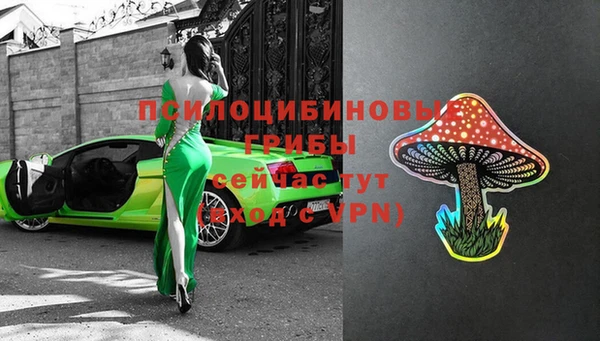 мяу мяу мука Арсеньев