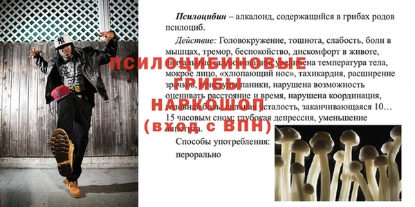 молекула духа Остров