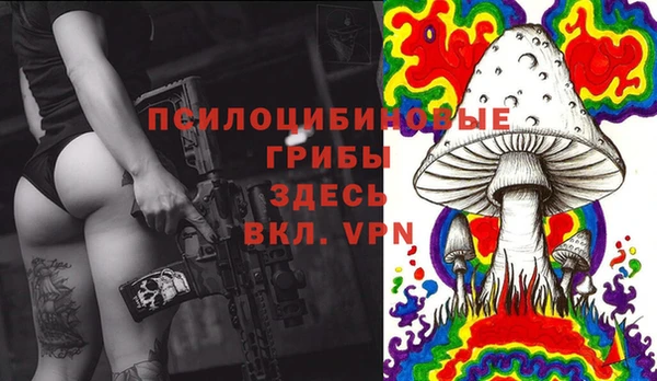 мяу мяу мука Арсеньев