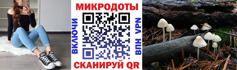 Галлюциногенные грибы Cubensis  купить   Починок 